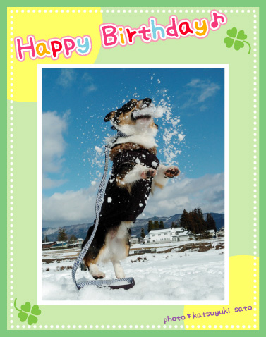 ダンケくん、お誕生日おめでとう♪_d0102523_9275159.jpg