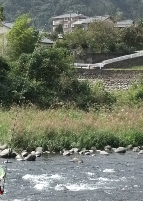 f0103126_20494844.jpg