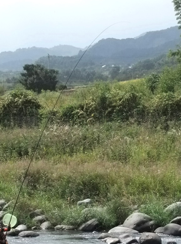 f0103126_217107.jpg