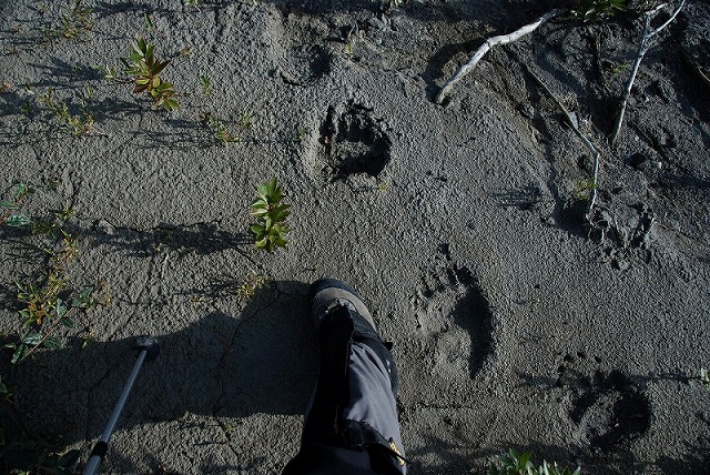 世界遺産　２００９クルアニ国立公園　バックパッキング_d0112928_7284118.jpg