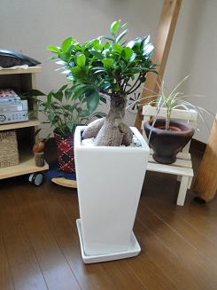 またまた復習_e0170128_120455.jpg