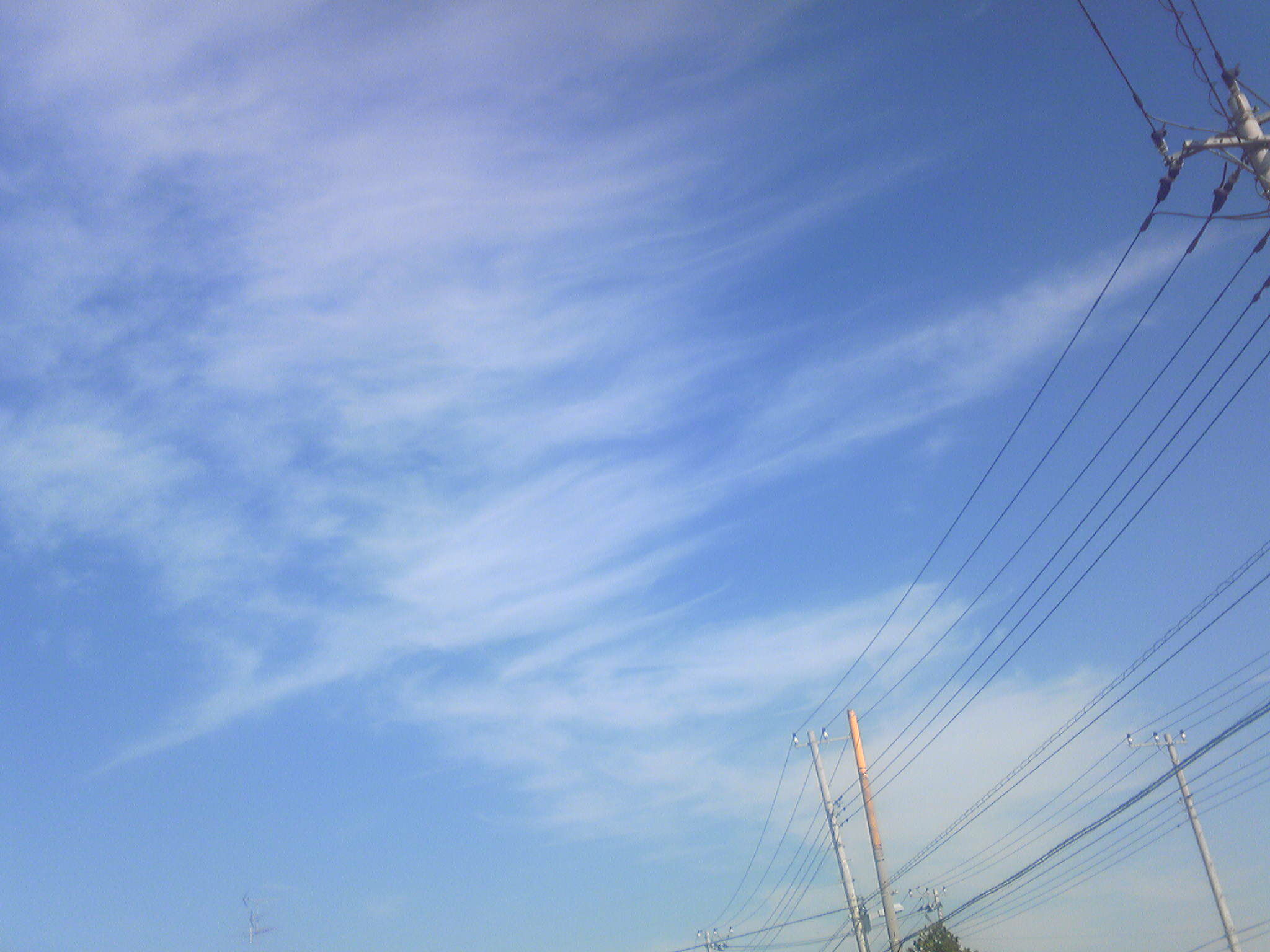 a0129841_1326078.jpg