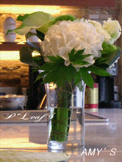 c0176651_226376.gif