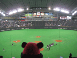 b0159557_22374261.gif