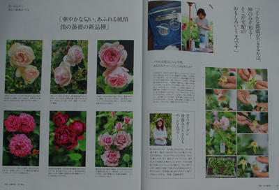 会員が雑誌My GARDEN 2009. 秋号に登場!_a0094959_10531640.jpg