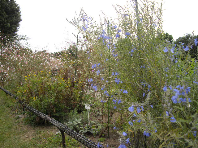 d0116059_14381780.jpg