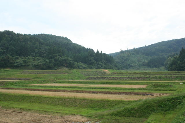 e0187567_71624.jpg
