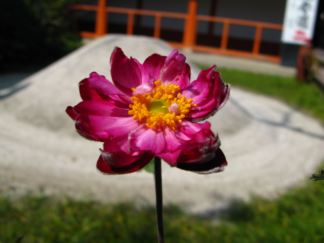 a0114469_13411424.jpg