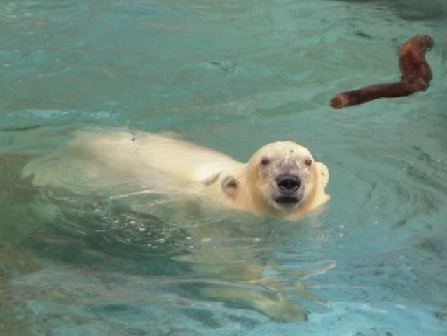 動物園_f0179469_2055365.jpg