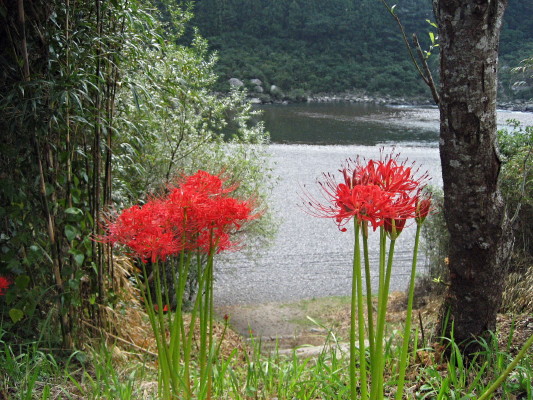 c0097371_10141284.jpg