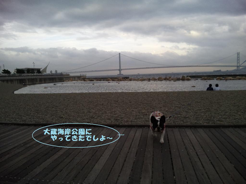 b0130273_20261878.jpg