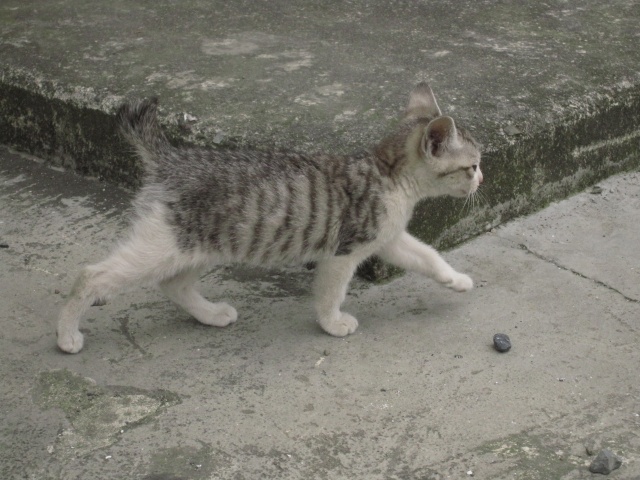 b0074377_2214371.jpg