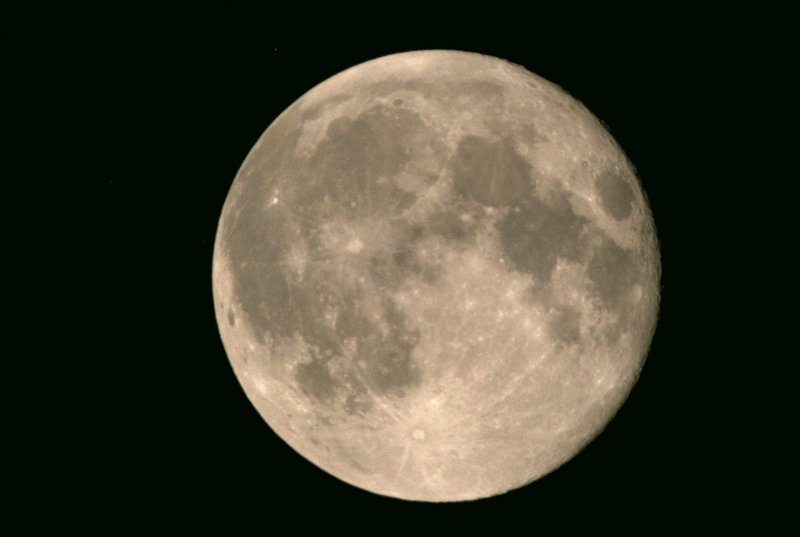 d0131982_42187.jpg