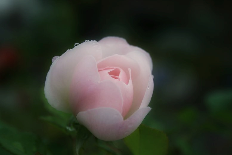 f0132986_14441642.jpg