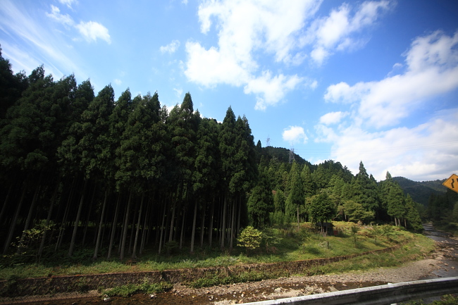 野草一味庵 ｢美山荘｣ 摘草料理 (京都市左京区花脊)_d0150287_22342279.jpg