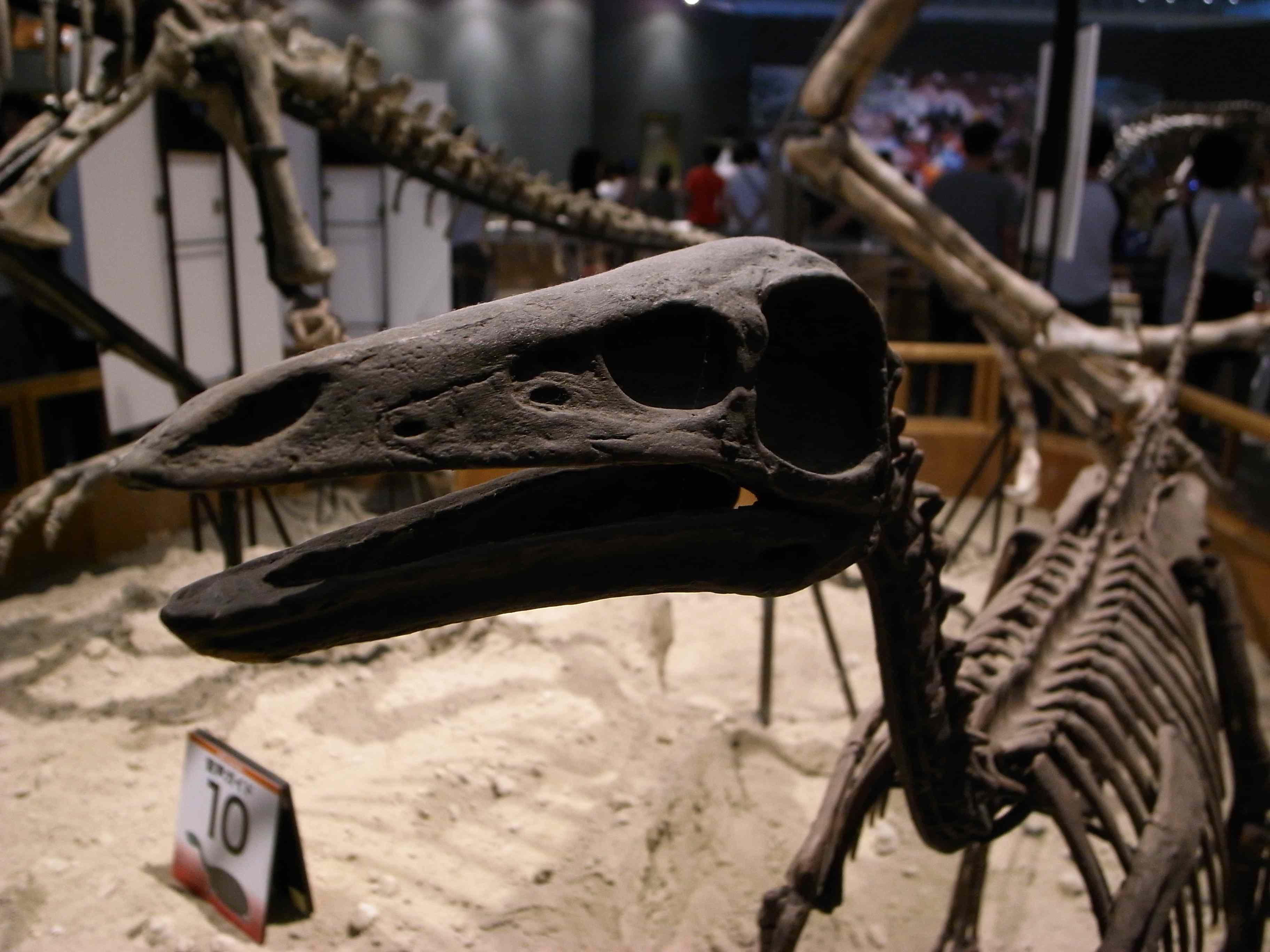 d0074688_36159.jpg