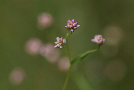 d0133693_19542529.jpg
