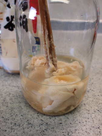 酒粕酵母_e0167593_0335913.jpg