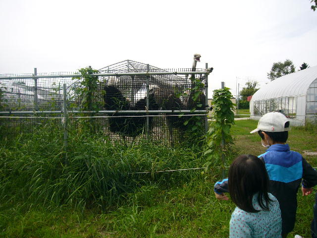 d0015096_1492642.jpg