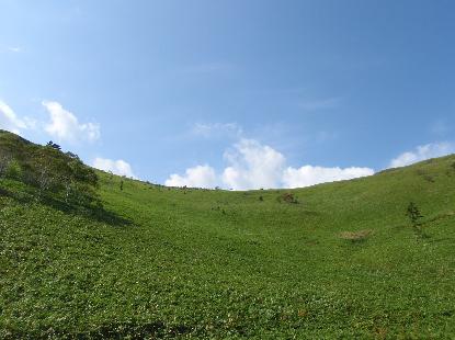 e0077899_79740.jpg