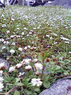 c0037701_23174544.jpg