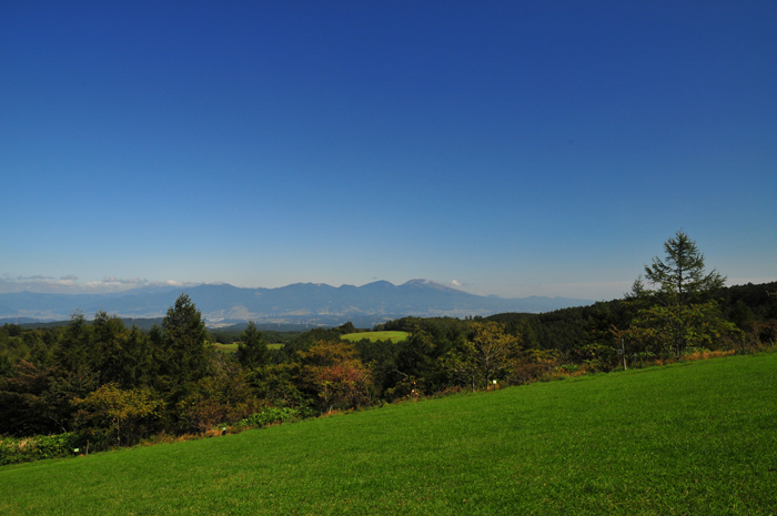 b0158403_13415160.jpg