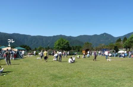 e0078510_15293520.jpg