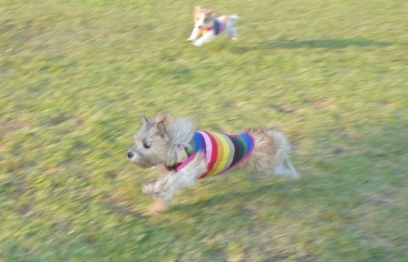 e0078510_17181380.jpg