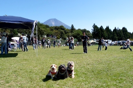 e0078510_17183651.jpg