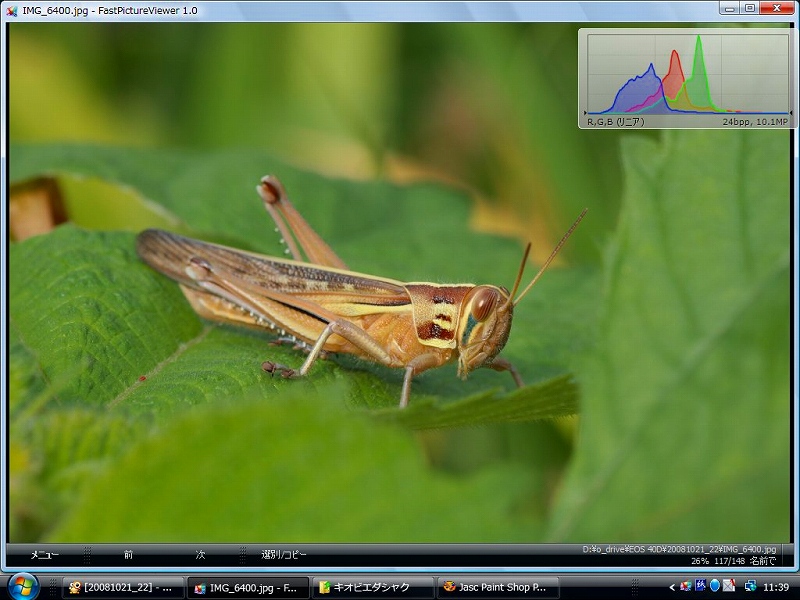改めてFastPictureViewerの威力_d0059213_15285044.jpg