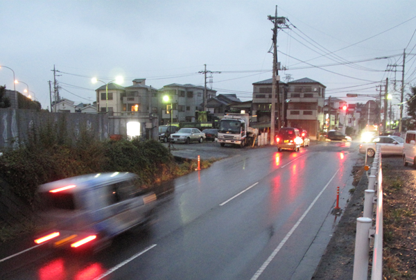 雨蛙_d0130714_2243719.jpg