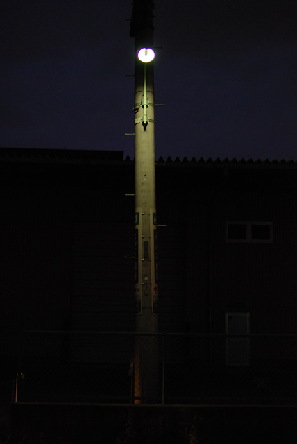 f0192814_20419.jpg