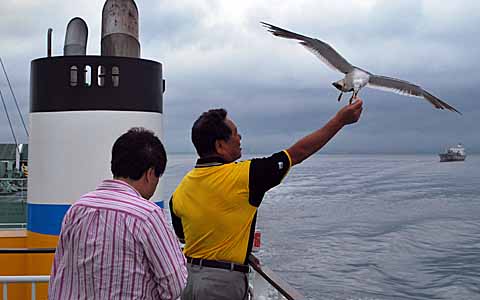 a0094015_6344238.jpg