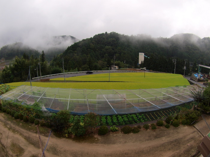 山に霧。。_c0116915_2339115.jpg