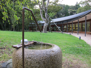 e0080117_04692.jpg