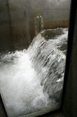 a0034225_023491.gif