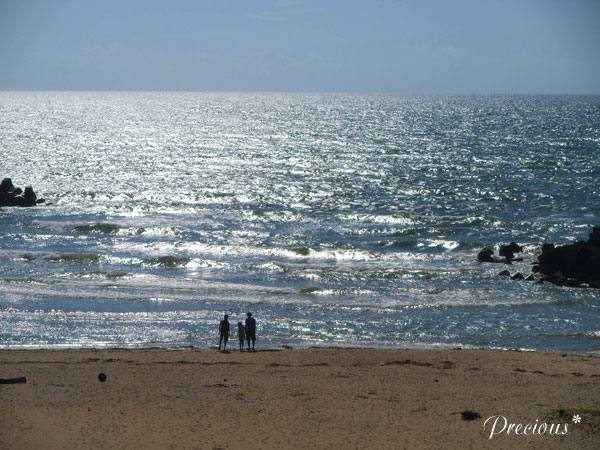 石川の海。_c0101341_2042369.jpg