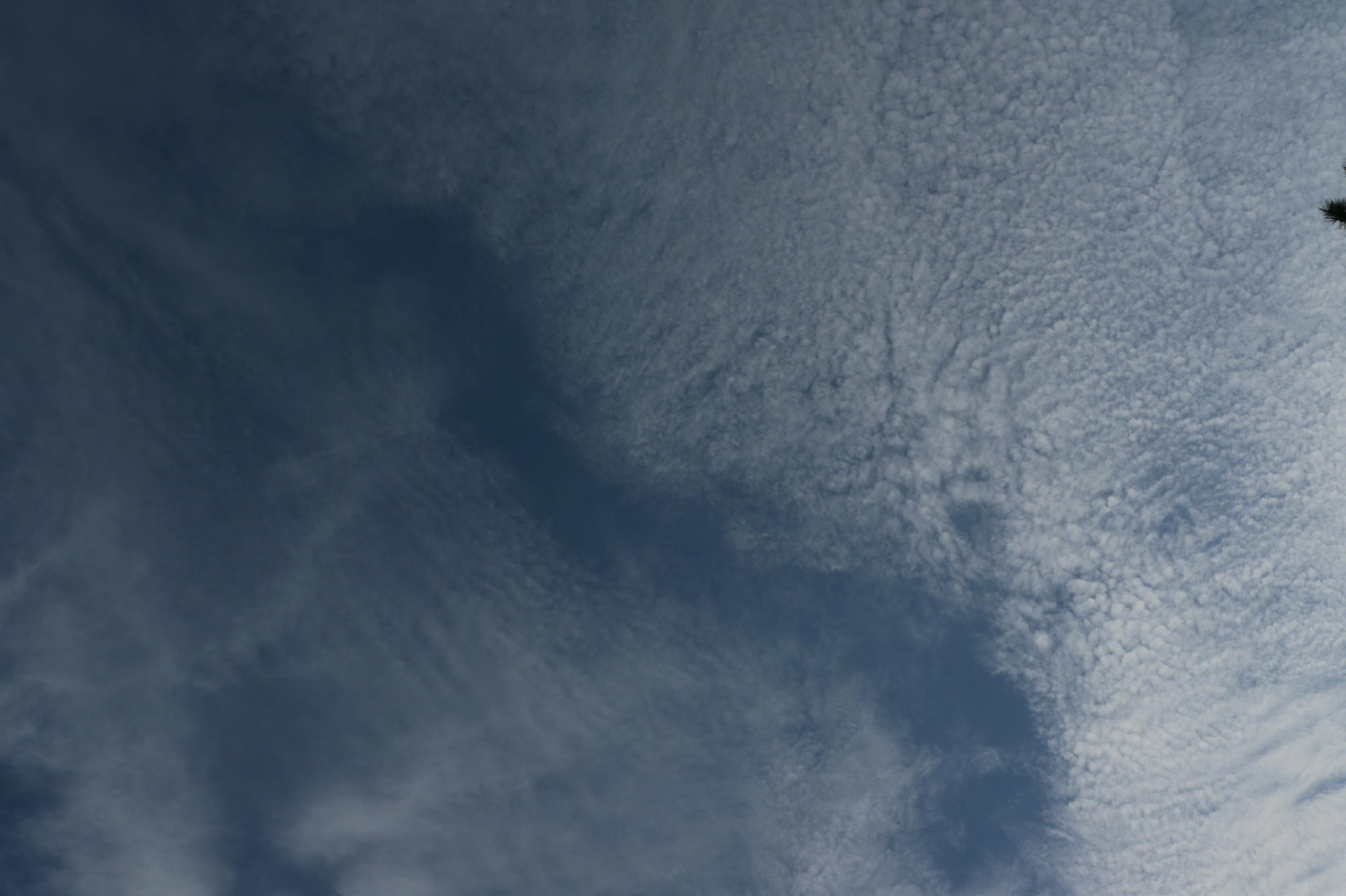 b0190242_0162450.jpg