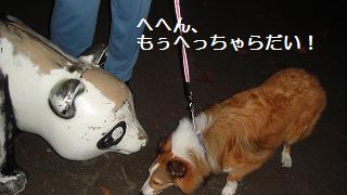 マウンティングのちから♪_e0195743_014316.jpg