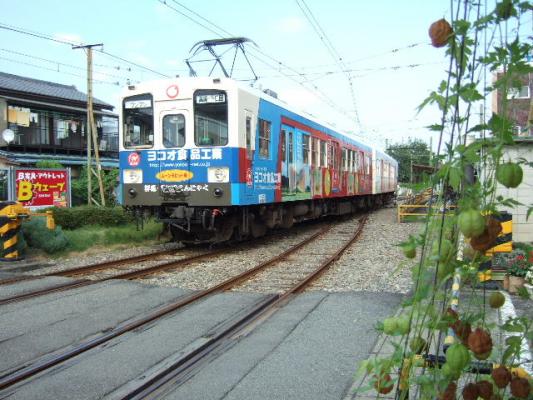 f0128146_0132723.jpg