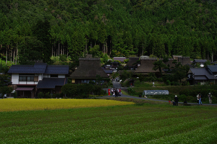 美山　かやぶきの里　～前編～_f0152550_2211966.jpg