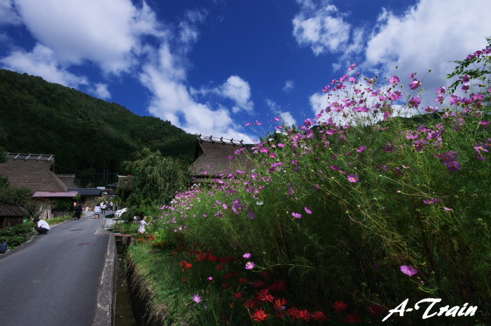 美山　かやぶきの里　～前編～_f0152550_2224819.jpg