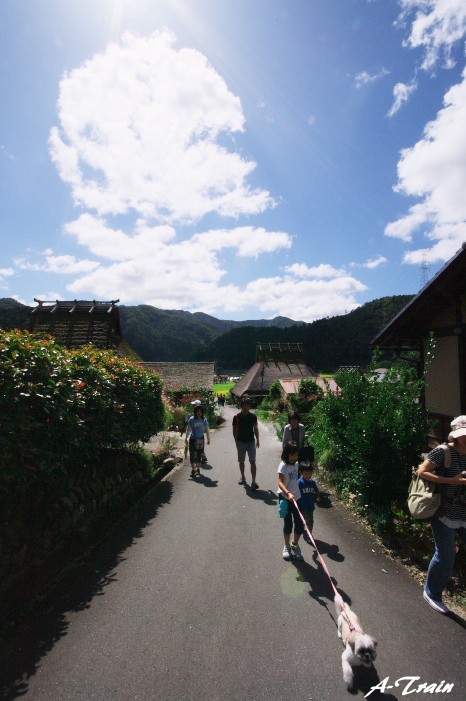 美山　かやぶきの里　～前編～_f0152550_2231928.jpg