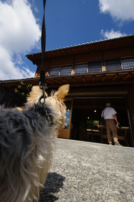 美山　かやぶきの里　～前編～_f0152550_2242313.jpg