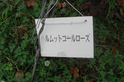 八色の森公園のワイン工場_a0084753_1440126.jpg