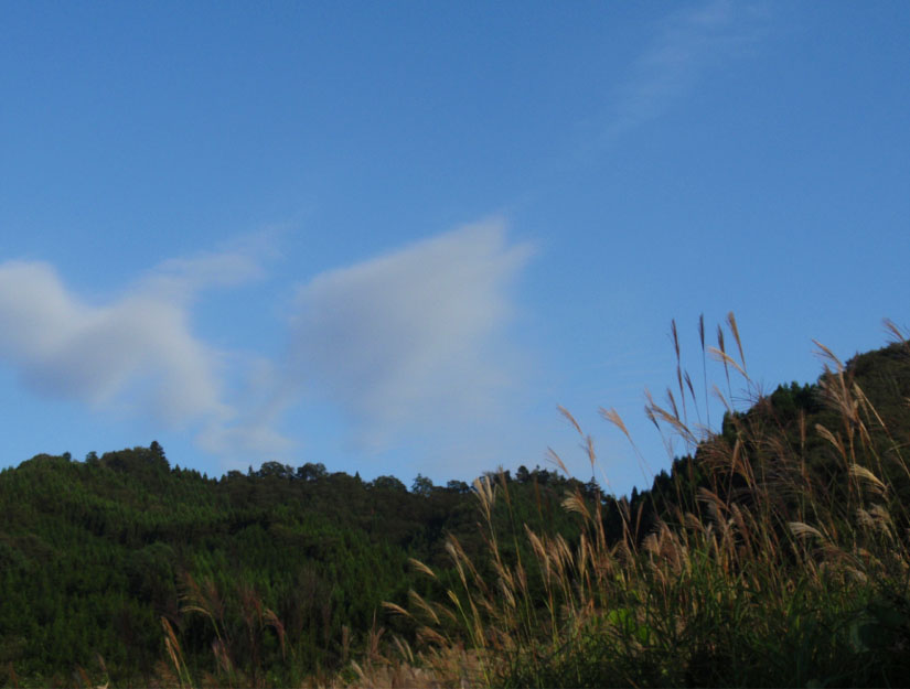 e0171455_1443374.jpg