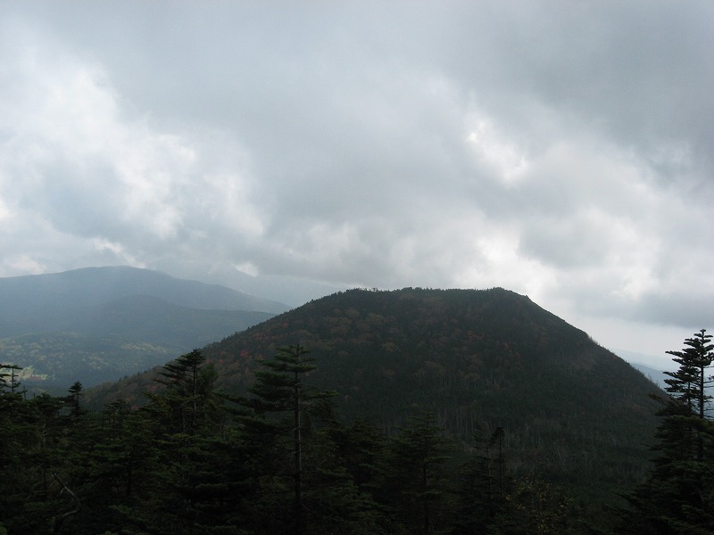 a0129257_19411455.jpg