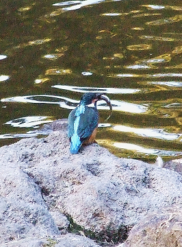 b0165760_2063024.jpg