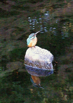 b0165760_208543.jpg