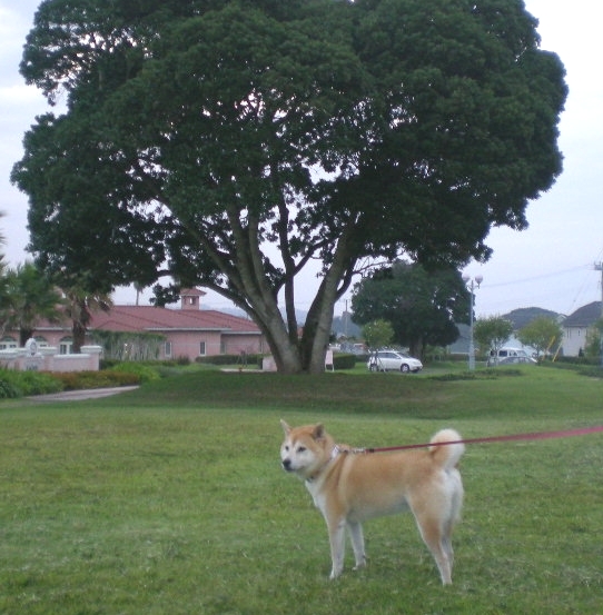 2009年9月30(水)雨の日には透明水彩画!_f0060461_10433068.jpg